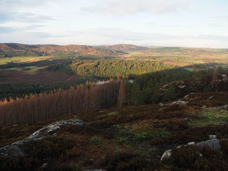 Across Strathnairn to Creag a' Chlachain