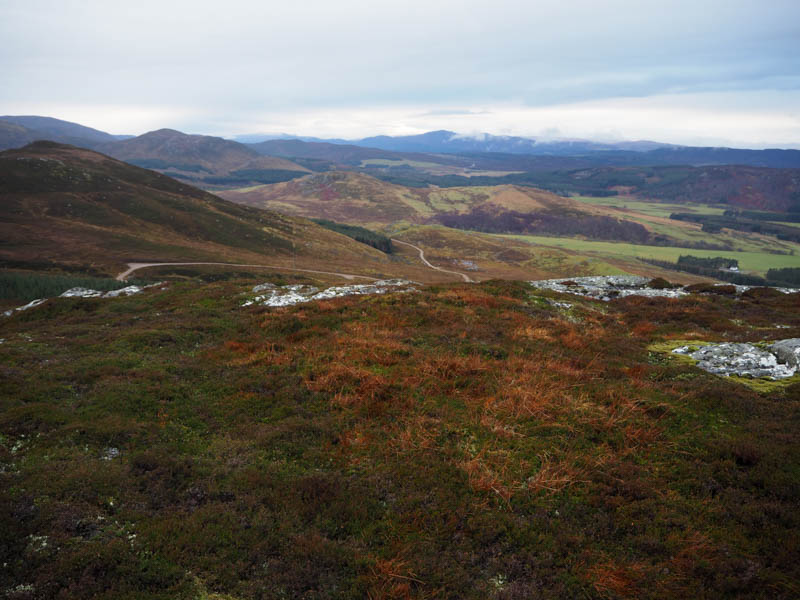 Carn Leachter and Strathnairn