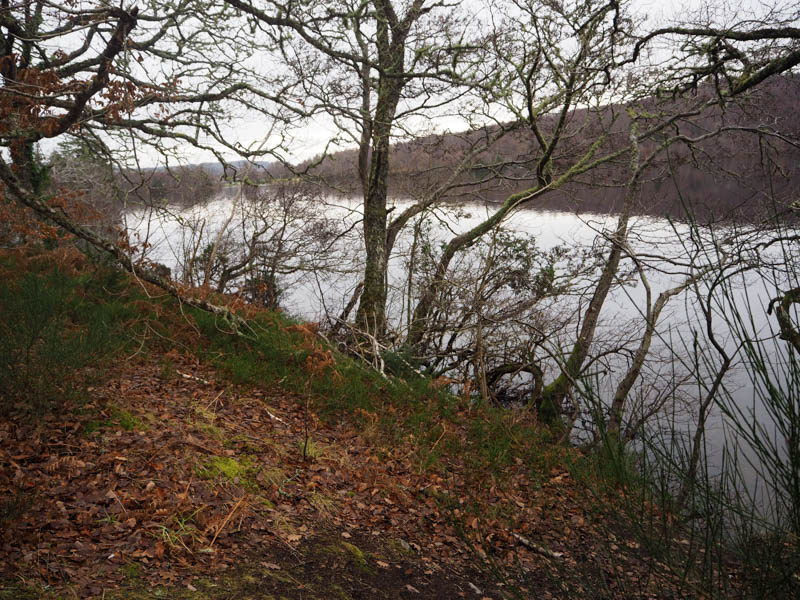 Loch Achilty