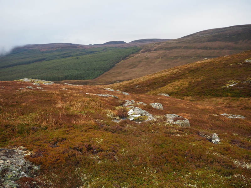 Carn Glac an Eich shows estate tracks used