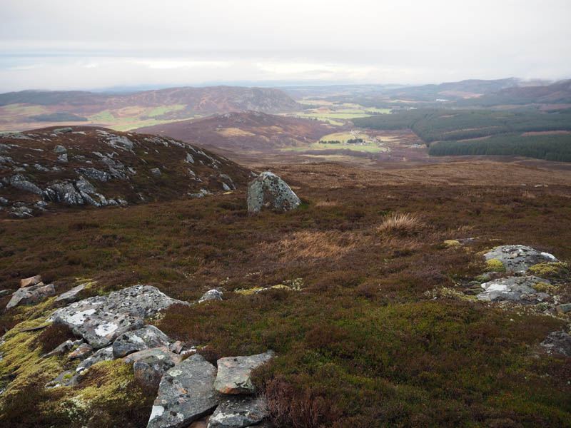 View back to start. Moray Firth in distance