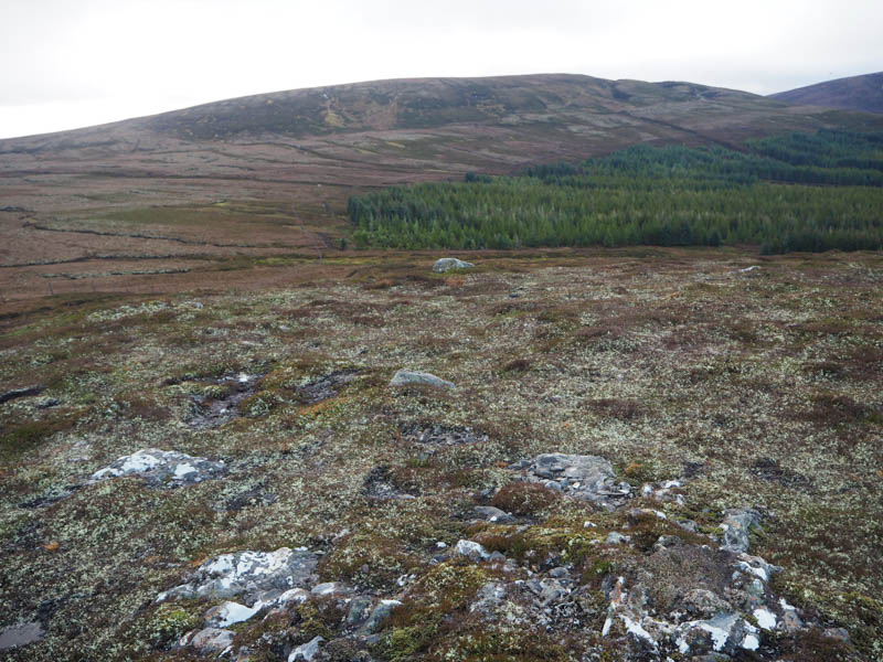 Carn na Saobhaidh