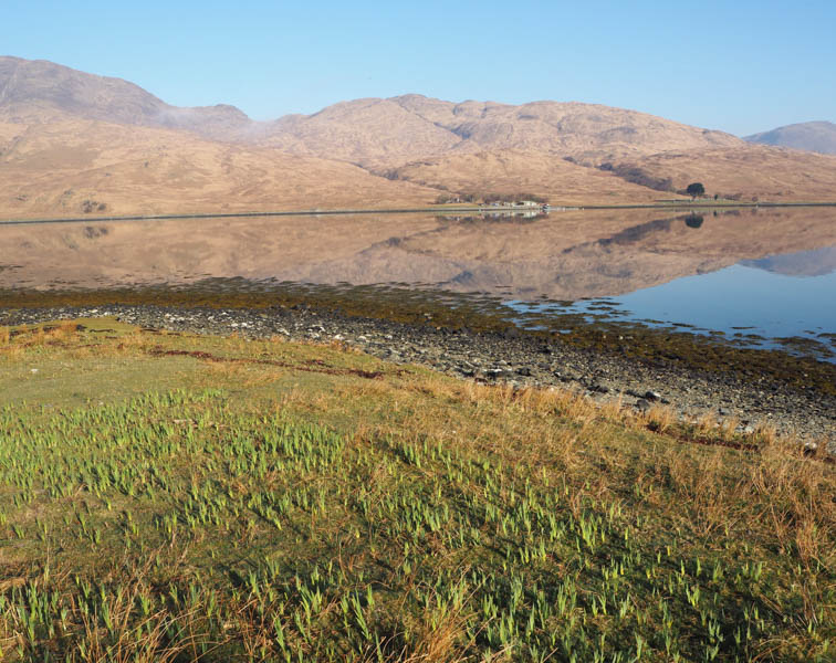 Reflections in Loch Spelve