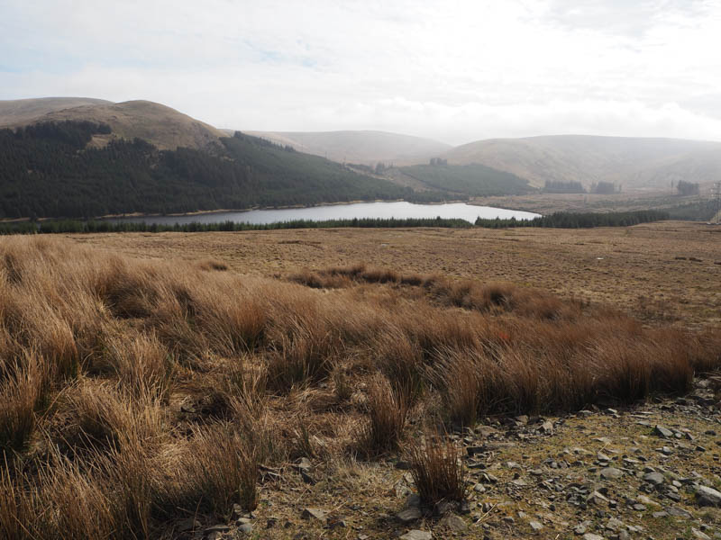 Afton Reservoir, Cannoch Hill and Meikledodd Hill
