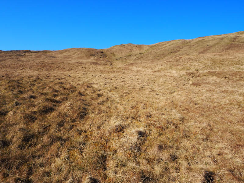 Approach to Beinn Bhuidhe