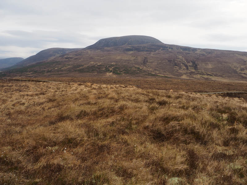 Meall a' Ghrianain