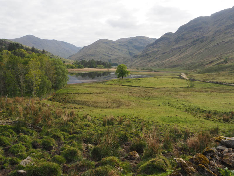 Glen Moidart