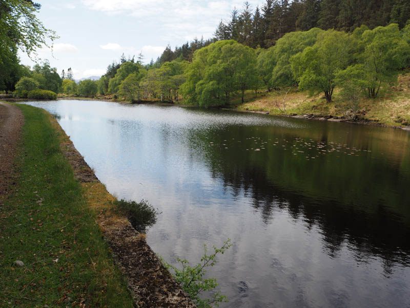 Lily Pond Eilean Shona
