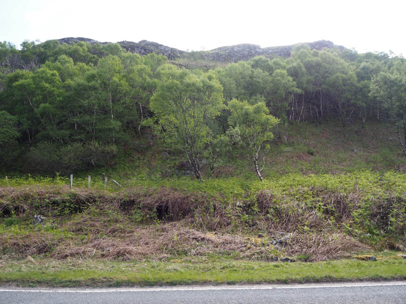 Cruach na Cuilidh Moire