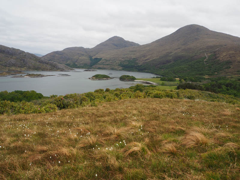 Loch Ailort, An Stac and Rois-Bheinn