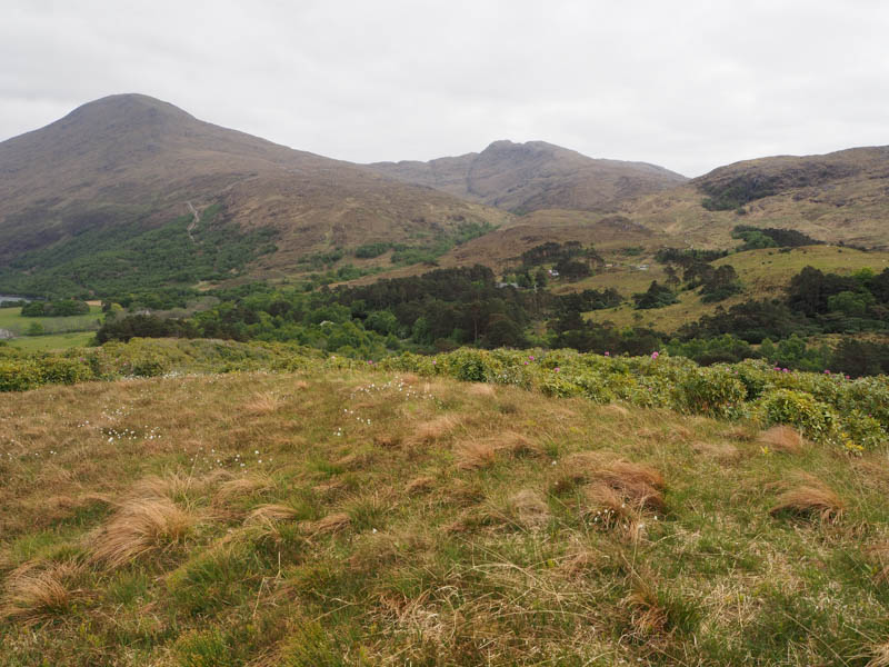 Roise-Bheinn and Sgurr Dhomhuill Mor