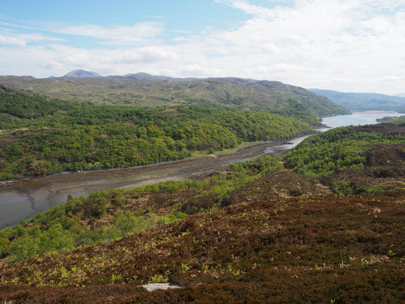 Loch Moidart and Cruach na Cuilidh Bige
