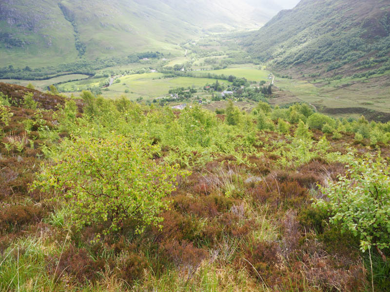 Camas-luinie and Glen Elchaig