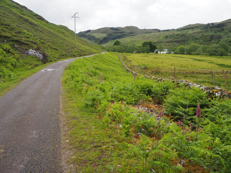 South-east towards Strathan