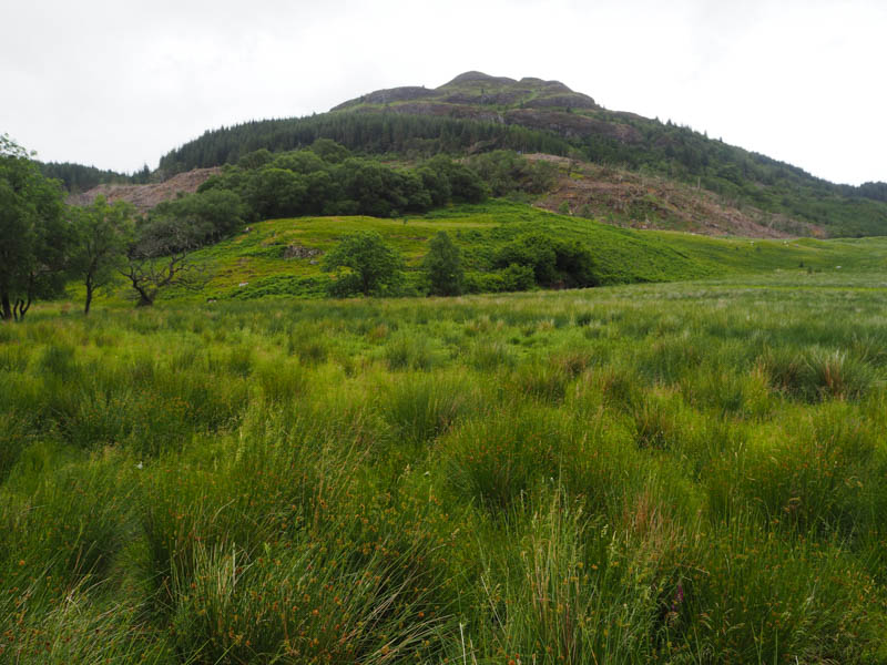 Deadh Choimhead from road