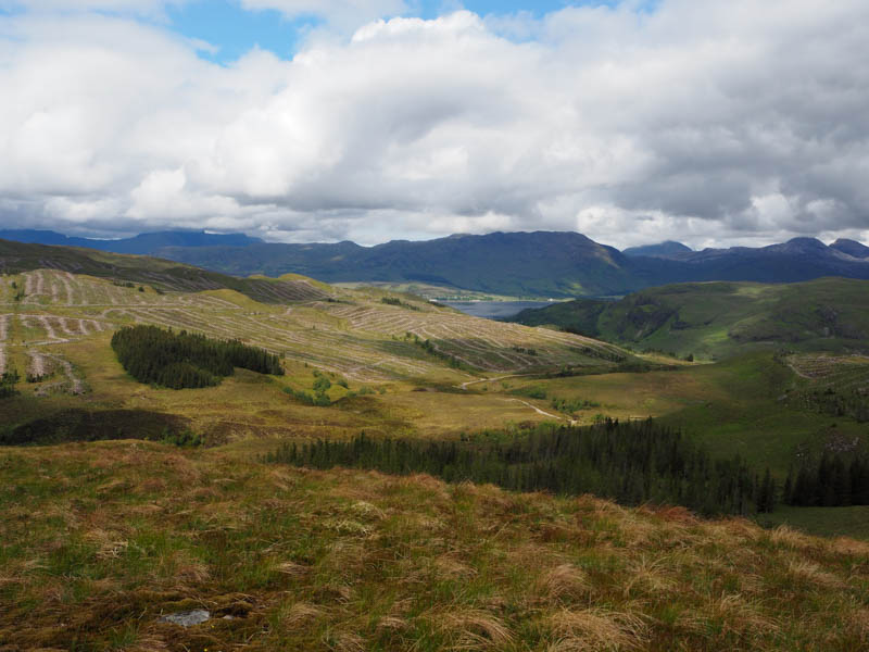 Unmapped track. Loch Carron in distance