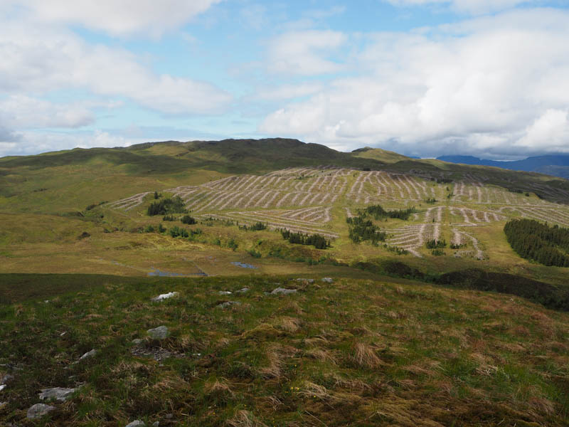 Marilyn Carn nan Iomairean
