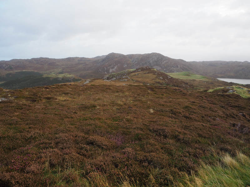 Creag a' Bhadaidh Daraich