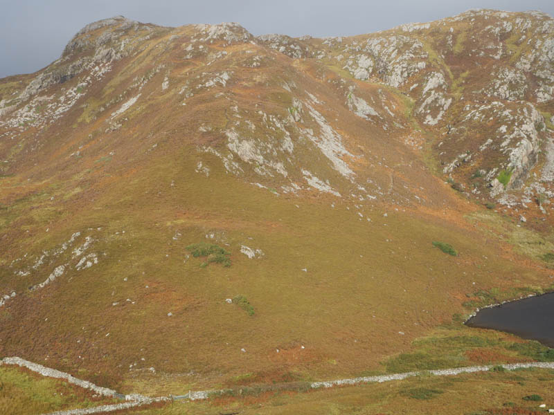 Creag a' Bhadaidh Daraich