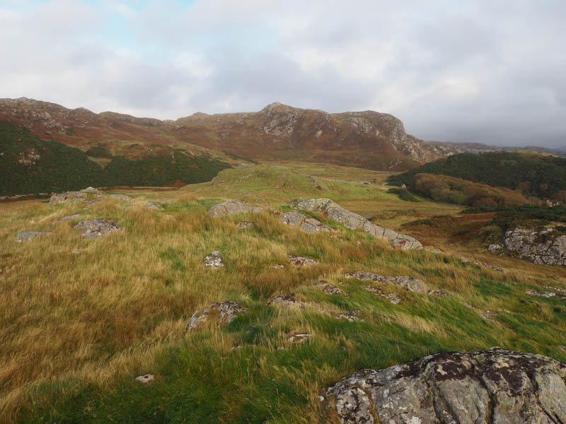 Creag a' Bhadaidh Daraich