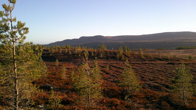 Carn na Ruighe Duibhe