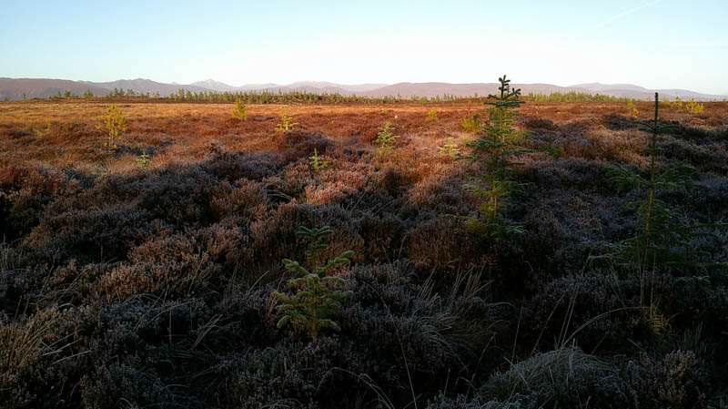 Route off Druim na h-Aibhne