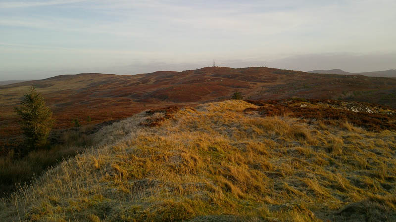 Cnoc a' Choire Bhuidhe