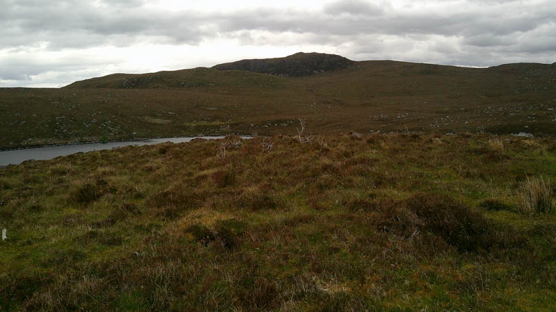 Beinn Dearg Bad Chailleach