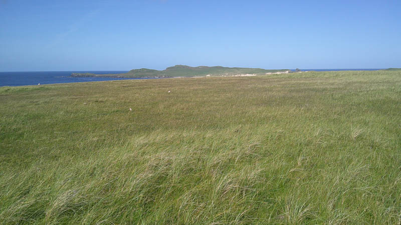 An Fharaid